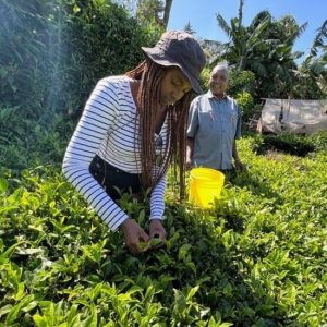 Agro Traveler Agro Traveler