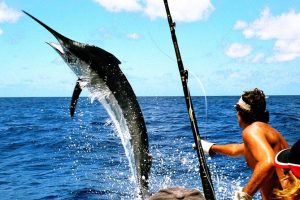 <a href="/adventure-activities/deep-sea-fishing/">Deep Sea Fishing</a>